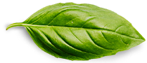 pure mustard oil